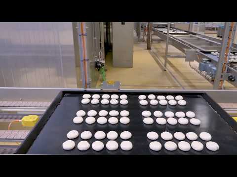 , title : 'Automated bakery - bun production line'