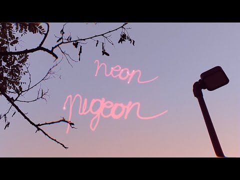 Klawo - Neon Pigeon