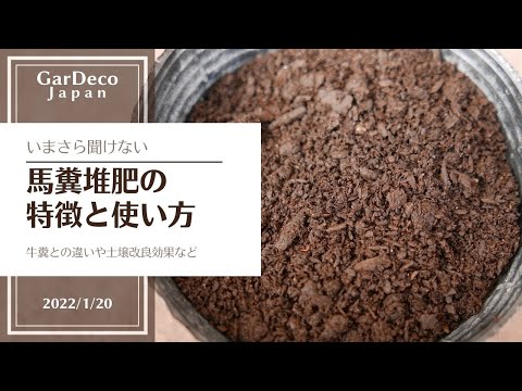 堆肥化した馬糞の使い方は？肥沃な作物を育てるための利点とヒント  庭園
