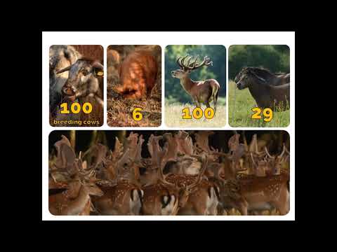 Yateley Society - Knepp presentation