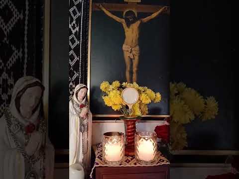 Adoración al Santísimo Sacramento del Altar con el Padre Fabian Esteban Oliva. 13/05/26