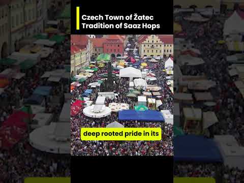 Czech Town of Žatec Tradition of Saaz Hops 🍺🌿 Discover Žatec: The Hops Heartland 🌿🍺 Step into Žatec,
