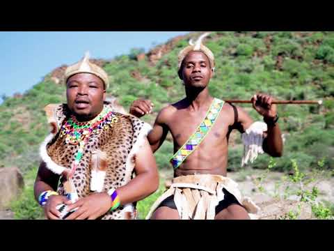 Prince Tee - Dikgomo ft DJ Katzen V x Leon Lee x Dem Dee (Official Video)