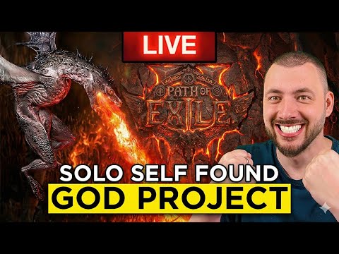 Zero to Hero Druid Challenge - POE 2 The Fate of the Vaal