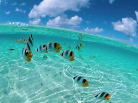 Manvel Ter-Pogosyan Feat Tiff Lacey - Sweet Memories (David Laine Remix)