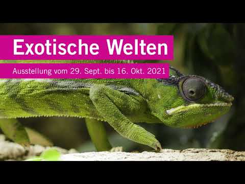 Exotische Welten - Ausstellung vom 29. Sept. bis 16. Okt. 2021 im Seedamm-Center