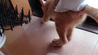 ユ・ユウスケがw