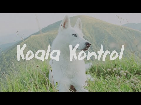 Sody, Cavetown - is your bedroom ceiling bored? (Lyrics)