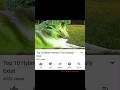 5 9 ️ Memes Dankememes Slideshow Funny Shorts