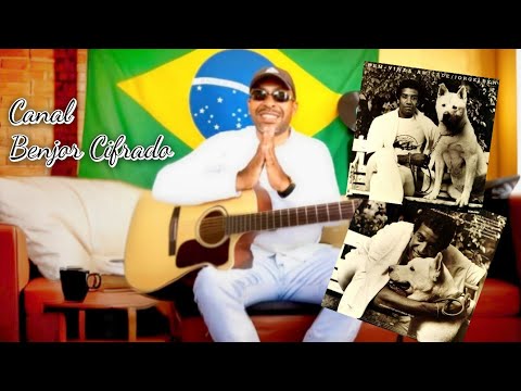 Fez Forró - Catarina Flor