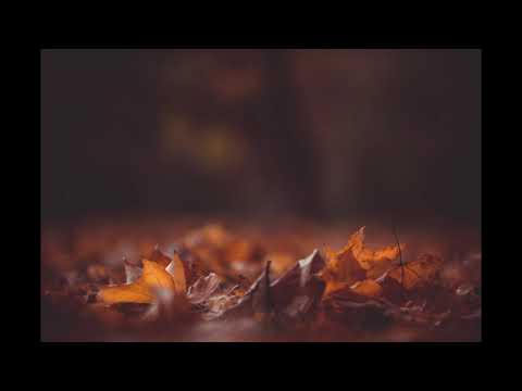 Sarı Gelin (Enstrümantal) - Mehmet Cemal Yeşilçay / Mocca Lounge