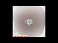 The County Medical Examiners ‎ Fetid Putrescent Whiffs Full Demo