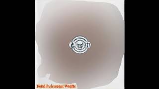 The County Medical Examiners ‎– Fetid Putrescent Whiffs (full demo)