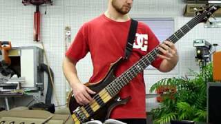 Metallica - The More I See on bass with hidden bonus track (Discharge cover)