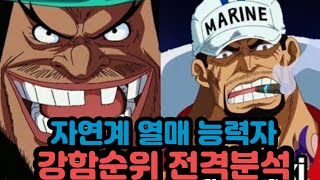 [원피스순위]자연계 열매 능력자 강함순위 전격분석