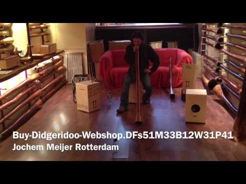 Buy Didgeridoo DFs51M33B12W31P41