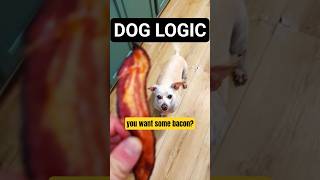 My Dog Learns Where Bacon Comes From 😂🐶 #shorts #funnydog