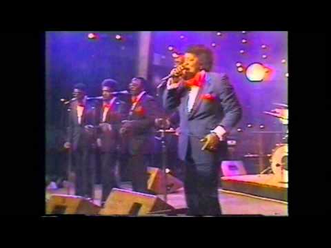 The Jive Five (LIVE) - My True Story