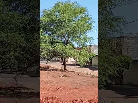 Monte Azul MG