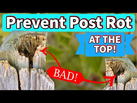 How to Prevent Fence Post Rot at the Top! | Protect Your Fence