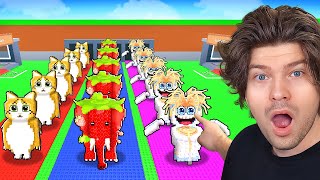 Video thumbnail image