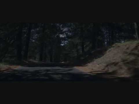 Rotofobia - 10 piętro