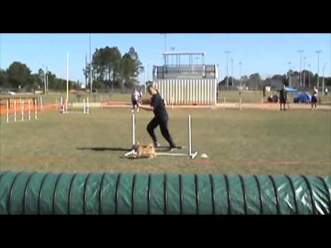 6269 SAT-NOV-CHN1 Normie-AAM