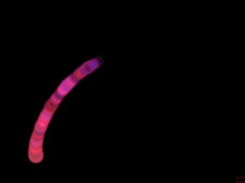 Cause Effect Sensory Light Box - YouTube