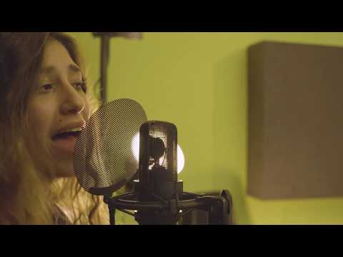 download lagu mp3 mp4 Damp Forest, download lagu Damp Forest gratis, unduh video klip Damp Forest