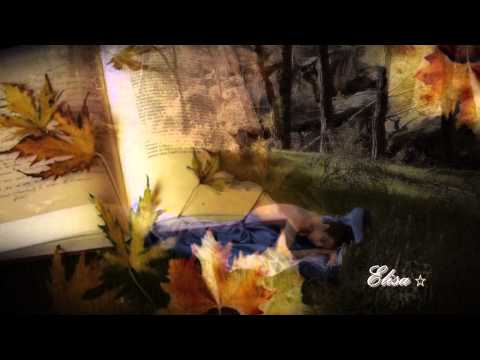 ♥♫LEILA PINHEIRO -  UMA VOZ NO VENTO♥♫HD