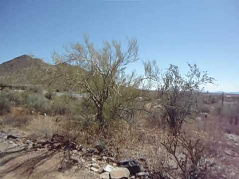 Overton trail behind the Nature Center and ramadas