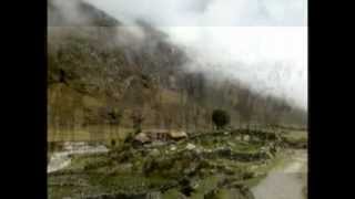 Ya se van los pastores