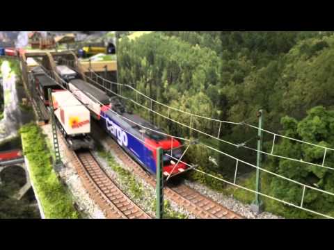 Re465 doppia trazione + Re482 Cargo