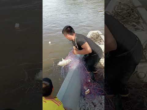 Pescado en el Río Putumayo..🐟🐟🐟🎣