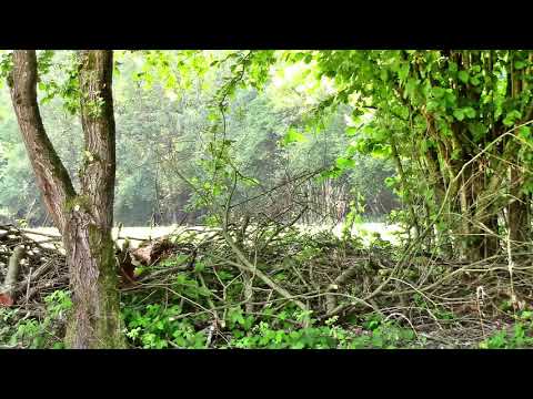 Auf großer Tour den Natursteig Sieg entlang 07 – 1