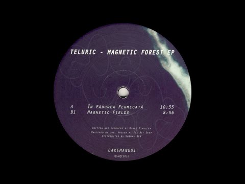 Teluric - Magentic Fields [CAKEMAN001]