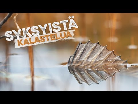 Syksyistä retkeilykalastusta ja ruskamaisemia Kainuussa