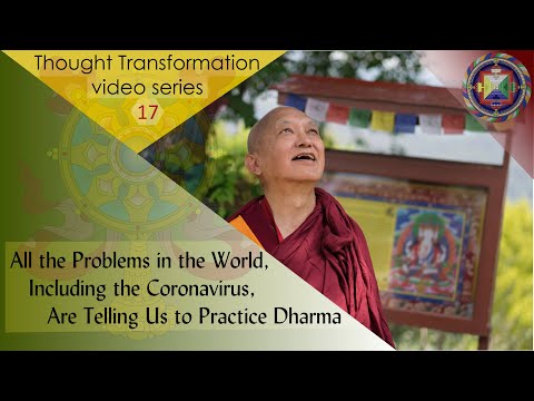 All the Problems in the World, Including the Coronavirus, Are Telling Us to Practice Dharma