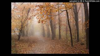 Dernier voyage - Maurane & Daran - Cover Duo Symbiose