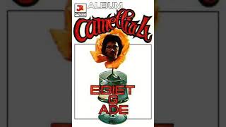 Download lagu Ebiet G Ade - Camellia 4 mp3 Download lagu Ebiet G Ade - Camellia 4 mp3