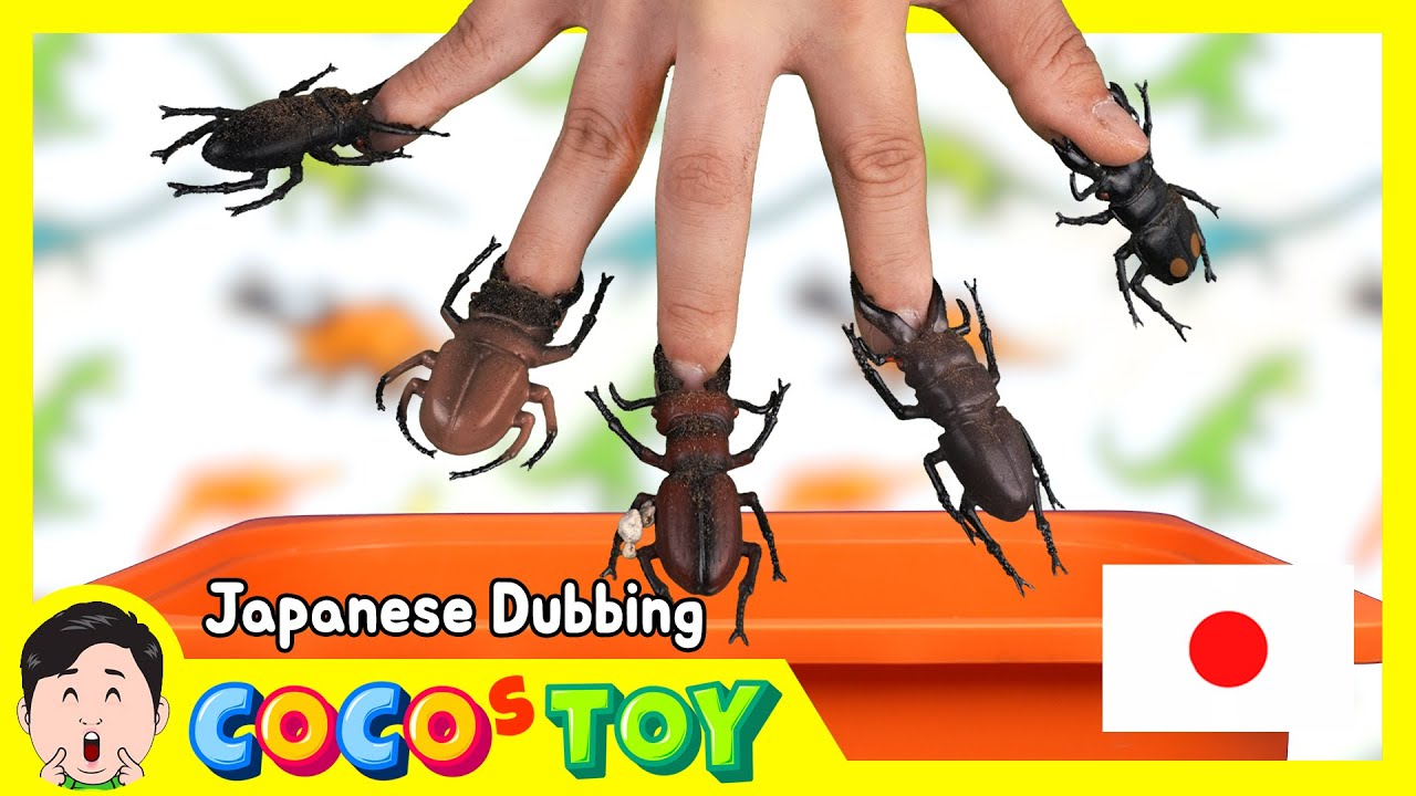 勝つのはどっちだ？カブトムシ vs ロボットカブトムシ｜カブトムシの名前、種類｜日本語ダビング｜CoCosToy