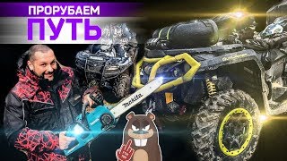 НОВЫЙ BRP 2019 ГОДА И МАКИТА