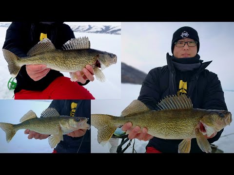 I Caught My Best Walleye This Season! | Mid Winter Ice Fishing Pasqua Lake, Saskatchewan 2021