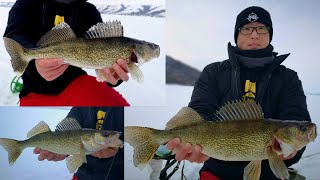 I Caught My Best Walleye This Season! | Mid Winter Ice Fishing Pasqua Lake, Saskatchewan 2021