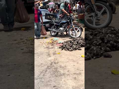 Así ES el MERCADO en una CIUDAD PETROLERA de #venezuela #maturin