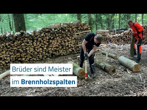 Niemand spaltet schneller Brennholz als diese Brüder