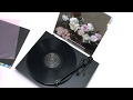 New Order - Age of Consent (Official Vinyl Video)