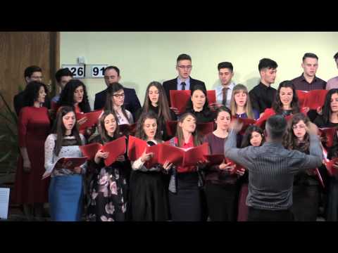 Amicus Timisoara - Grant Bucuresti