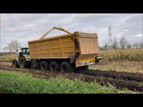 Loonbedrijf Segaert mais hakselen met hun John Deere 9700i!