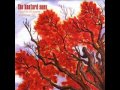 You get me through the day- The Bastard Suns 